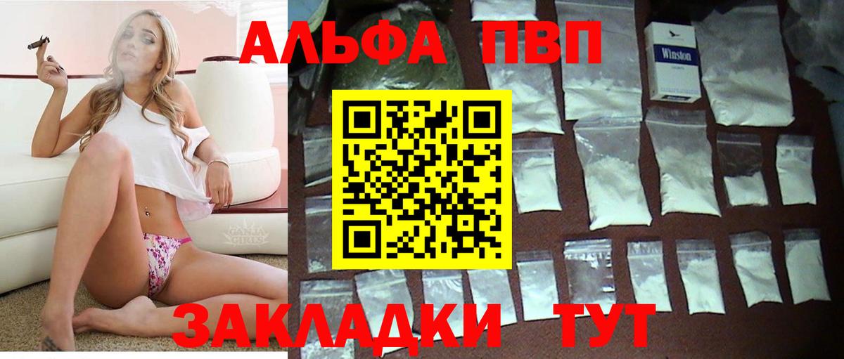 Alfa_PVP СК Нальчик