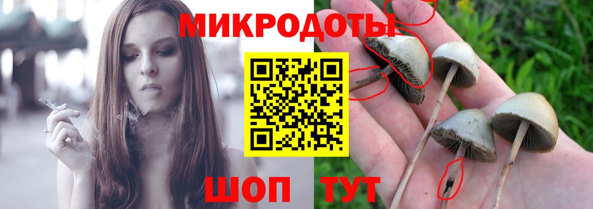 Псилоцибиновые грибы прущие грибы  Вход с VPN  Нальчик 